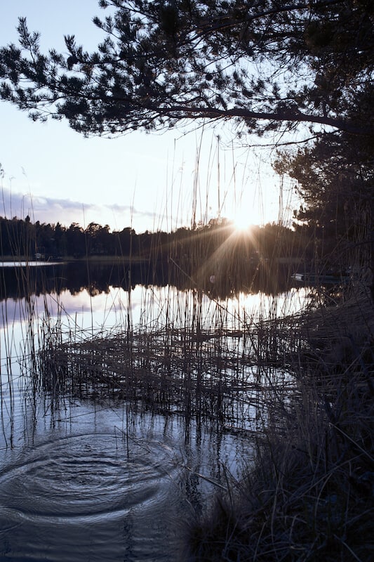 Dr Sannas Inspirationsbild
