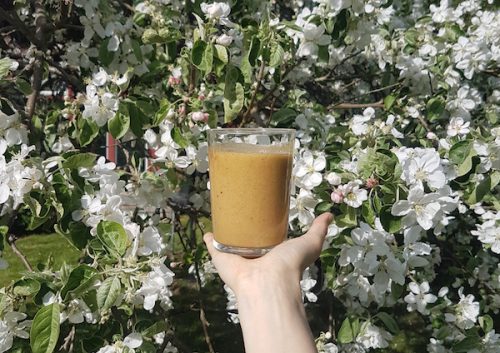 Energy Mix Smoothie