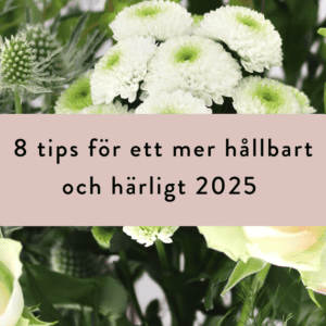 8 tips för ett mer hållbart 2025 – för ett härligare och sundare år